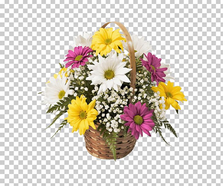 Floral Design Cut Flowers Transvaal Daisy Flowerpot PNG, Clipart,  Free PNG Download