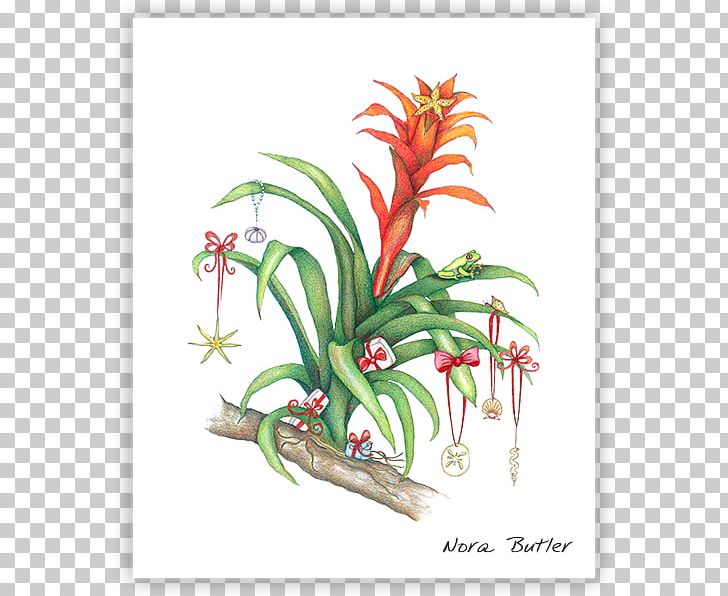 Floral Design Nora Butler Designs Work Of Art Gift PNG, Clipart, Art, Bromelia, Christmas, Christmas Card, Clothing Free PNG Download