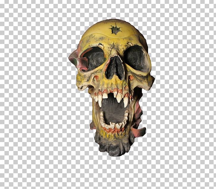 Skull Bone Skeleton Animaatio PNG, Clipart, Animaatio, Bone, Caveira, Face, Fantasy Free PNG Download