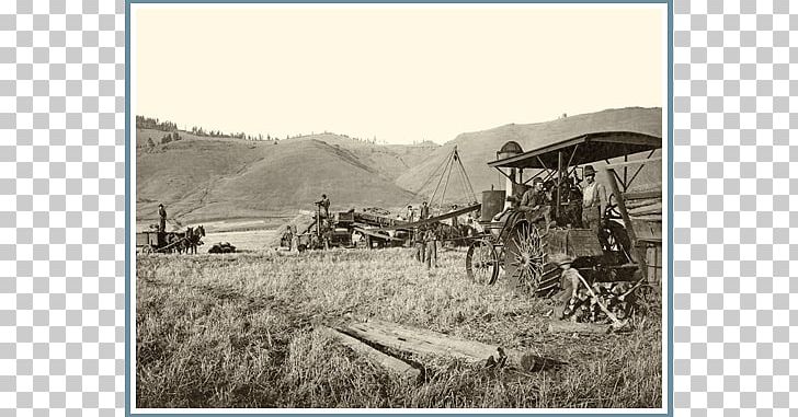 La Grande Union Douglas County PNG, Clipart, Black And White, Douglas County Oregon, Ecosystem, Farm, Field Free PNG Download