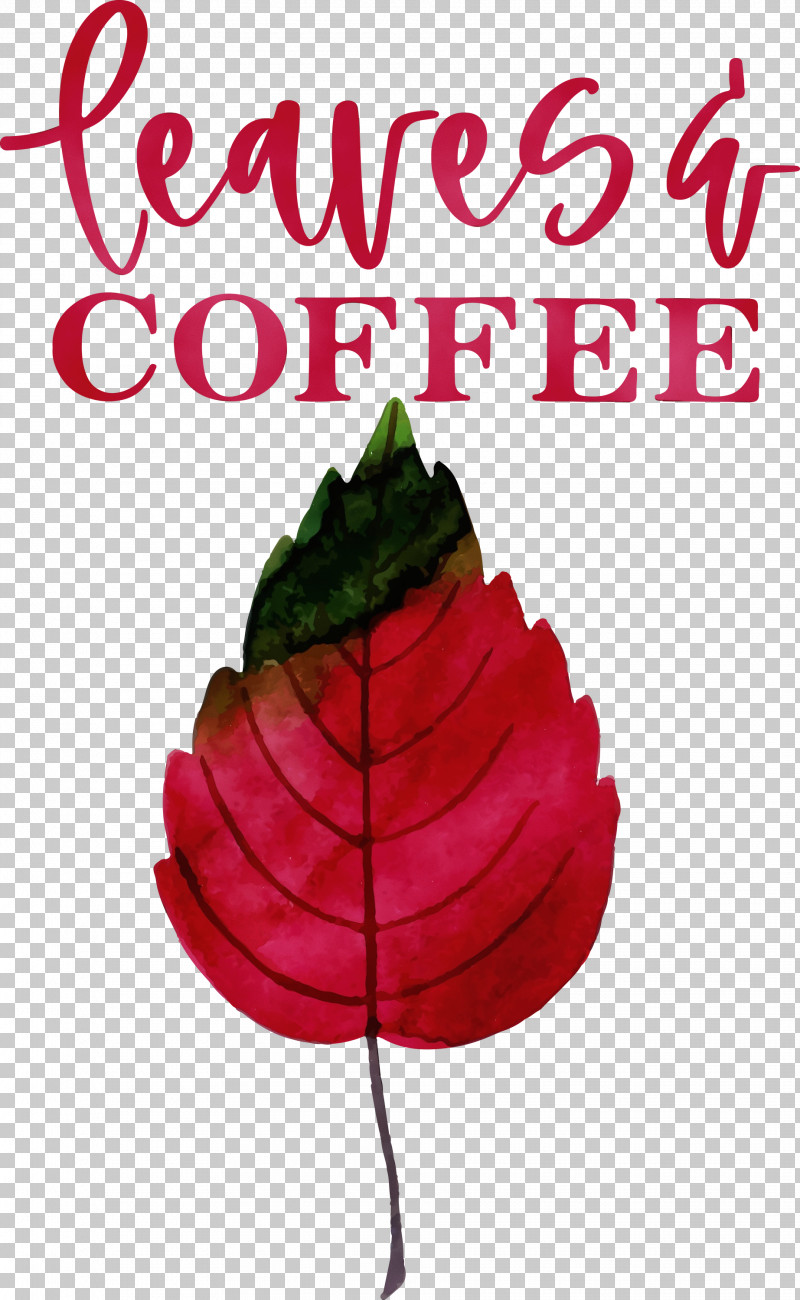 Leaf Flower Kirkby International College Font Petal PNG, Clipart, Biology, Coffee, College, Flower, Fruit Free PNG Download