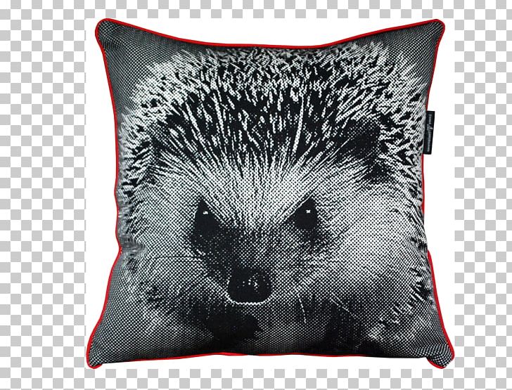 Domesticated Hedgehog Throw Pillows Hilarious Hedgehogs PNG, Clipart, Animals, Book, Cushion, Domesticated Hedgehog, Domestication Free PNG Download