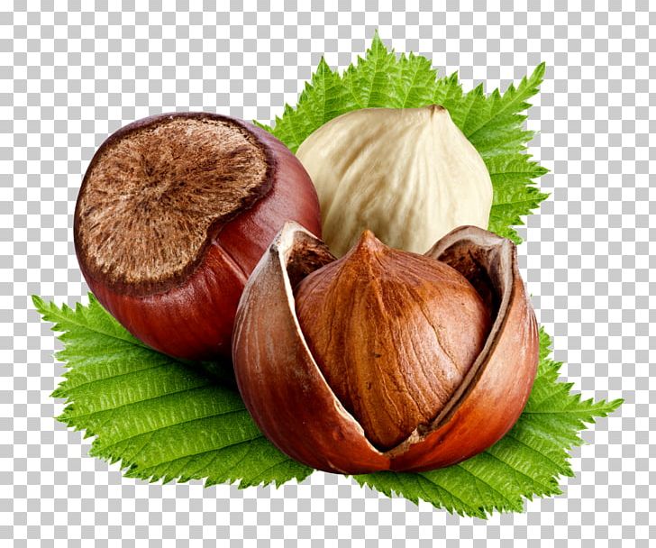 Hazelnut Food Dried Fruit Chinese Chestnut PNG, Clipart, Chestnut, Chinese Chestnut, Common Hazel, Desktop Wallpaper, Diet Food Free PNG Download