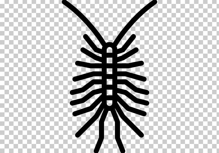 Insect Centipedes Entomology Animal Butterfly PNG, Clipart, Animal, Animals, Arthropod Mouthparts, Black And White, Bug Free PNG Download