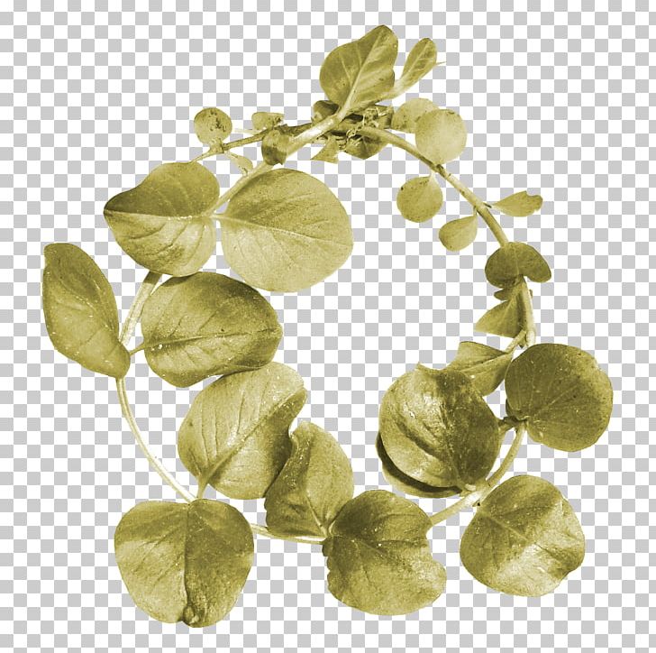 Leaf PNG, Clipart, Chinese, Chinese New Year, Chinese Style, Circle, Decoration Free PNG Download