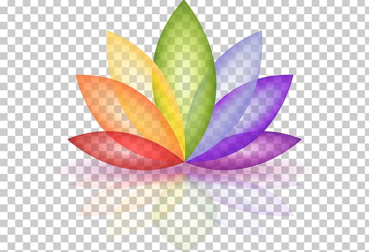 Qofas Color Soul Television Show PNG, Clipart, Aquatic Plant, Art, Bath Salts, Color, Computer Wallpaper Free PNG Download