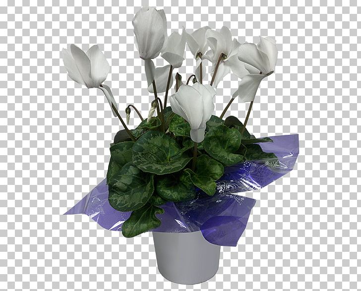 Rose Cyclamen Cut Flowers Flowerpot Plant PNG, Clipart, Arecaceae, Artificial Flower, Centrepiece, Cut Flowers, Cyclam Free PNG Download
