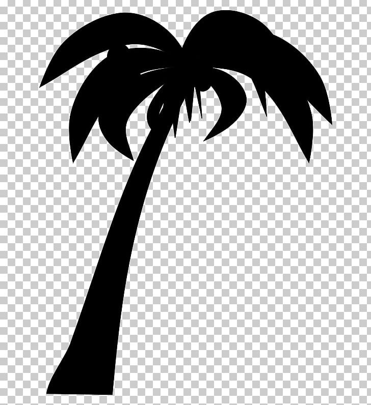 Tree Arecaceae Coconut Silhouette PNG, Clipart, Anahaw, Arecaceae, Arecales, Black And White, Branch Free PNG Download