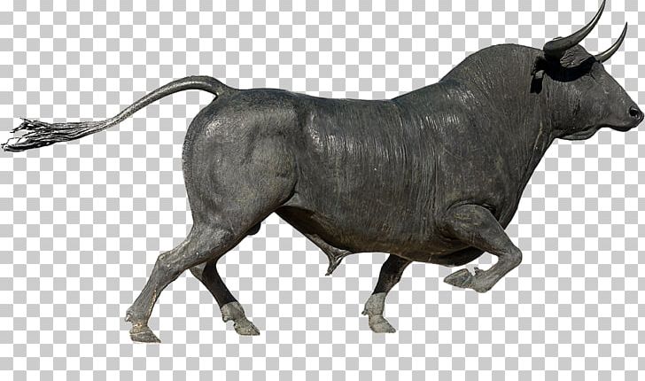 Plaza De Toros De Ronda Spanish Fighting Bull Bullring PNG, Clipart, Animal Figure, Animals, Bull, Bull, Bullfighter Free PNG Download