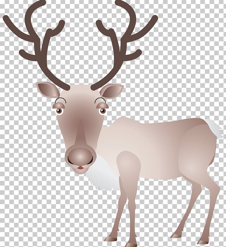 Reindeer Elk Moose Antler PNG, Clipart, Animal, Antler, Cartoon, Chital, Deer Free PNG Download