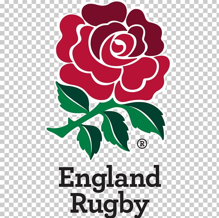 Twickenham Stadium England National Rugby Union Team Irish Rugby Wales National Rugby Union Team 2018 Six Nations Championship PNG, Clipart, 2018 Six Nations Championship, Area, Artwork, Brand, Flower Free PNG Download