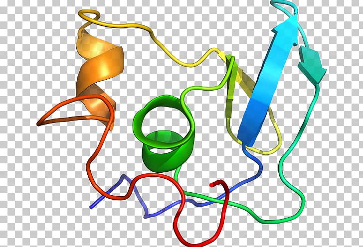 Line Point PNG, Clipart, Area, Art, Artwork, Line, Organism Free PNG Download