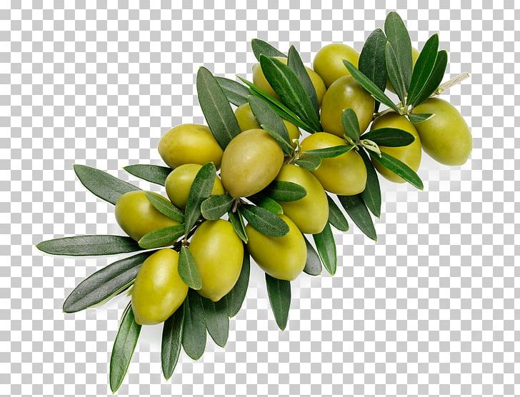 Olive Branch Stock Photography Alamy PNG, Clipart, Background Green, Food, Fruit, Green, Green Apple Free PNG Download