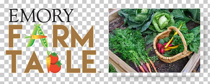 Vegetable Brand Emory University Promotional Merchandise PNG, Clipart, Badge, Brand, Emory Healthcare, Emory University, Food Free PNG Download