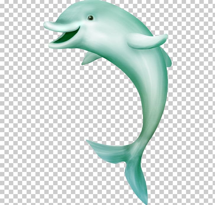Sea Digital Drawing PNG, Clipart, Aquatic Animal, Beak, Cetacea, Common Bottlenose Dolphin, Desktop Wallpaper Free PNG Download