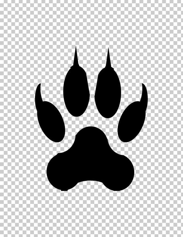 Cat Dog Paw Claw Bear PNG, Clipart, Animal, Animals, Animal Track, Bear, Black Free PNG Download