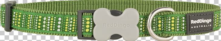 Dog Collar Dingo Puppy PNG, Clipart, Animals, Bone, Buckle, Cat, Choker Free PNG Download