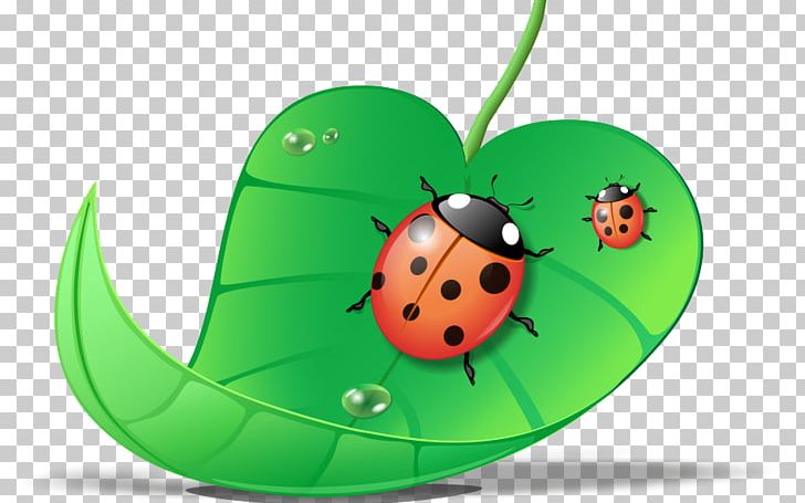Ladybird Beetle CorelDRAW PNG, Clipart, Animals, Beetle, Box, Corel, Coreldraw Free PNG Download