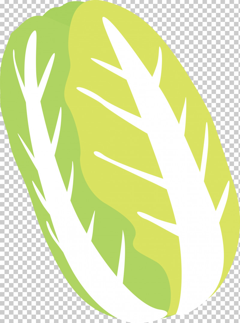 Nappa Cabbage PNG, Clipart, Green, Leaf, Leaf Vegetable, Logo, Monstera Deliciosa Free PNG Download