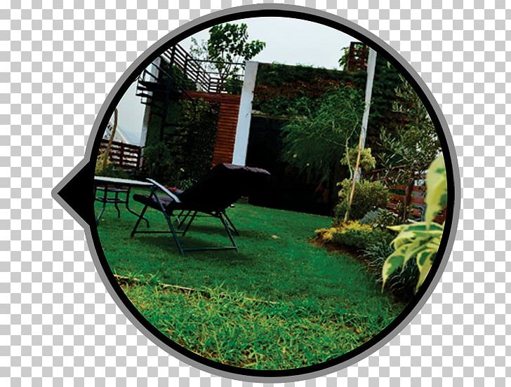 Green Roof Garden Green Wall Ceiling PNG, Clipart, Ceiling, Flat Roof, Flowerpot, Garden, Grass Free PNG Download
