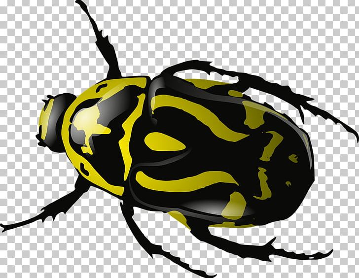 Computer Icons Drawing Dung Beetle PNG, Clipart, Arthropod, Artwork, Beetle, Bug, Computer Icons Free PNG Download