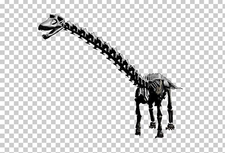 Giraffe White PNG, Clipart, Animals, Black And White, Dinosaur, Diplodocus, Giraffe Free PNG Download