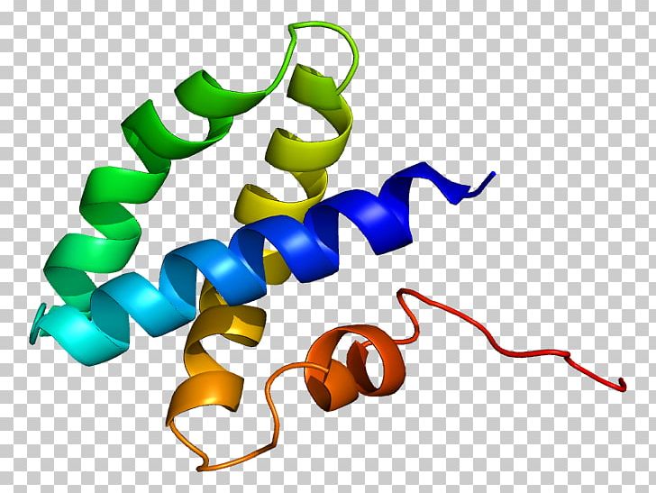 Prosaposin Saposin Protein Domain Gene Activator PNG, Clipart, Activator, Artwork, Conserved Sequence, Dnabinding Protein, Gene Free PNG Download