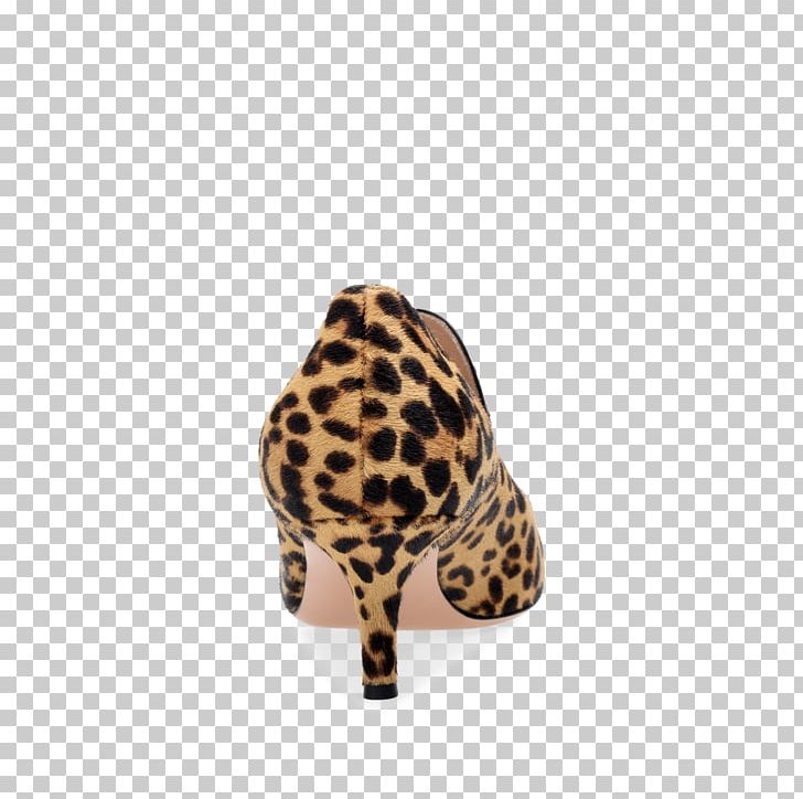 Shoe Terrestrial Animal Snout PNG, Clipart, Animal, Footwear, Fur, Others, Ric Free PNG Download
