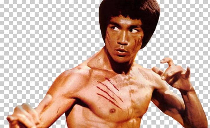 Bruce Lee PNG, Clipart, Abdomen, Aggression, Arm, Barechestedness, Bodybuilder Free PNG Download