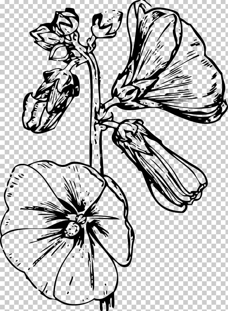 Hollyhock House Drawing PNG, Clipart, Artwork, Black And White, Coloring Book, Cut Flowers, Download Free PNG Download