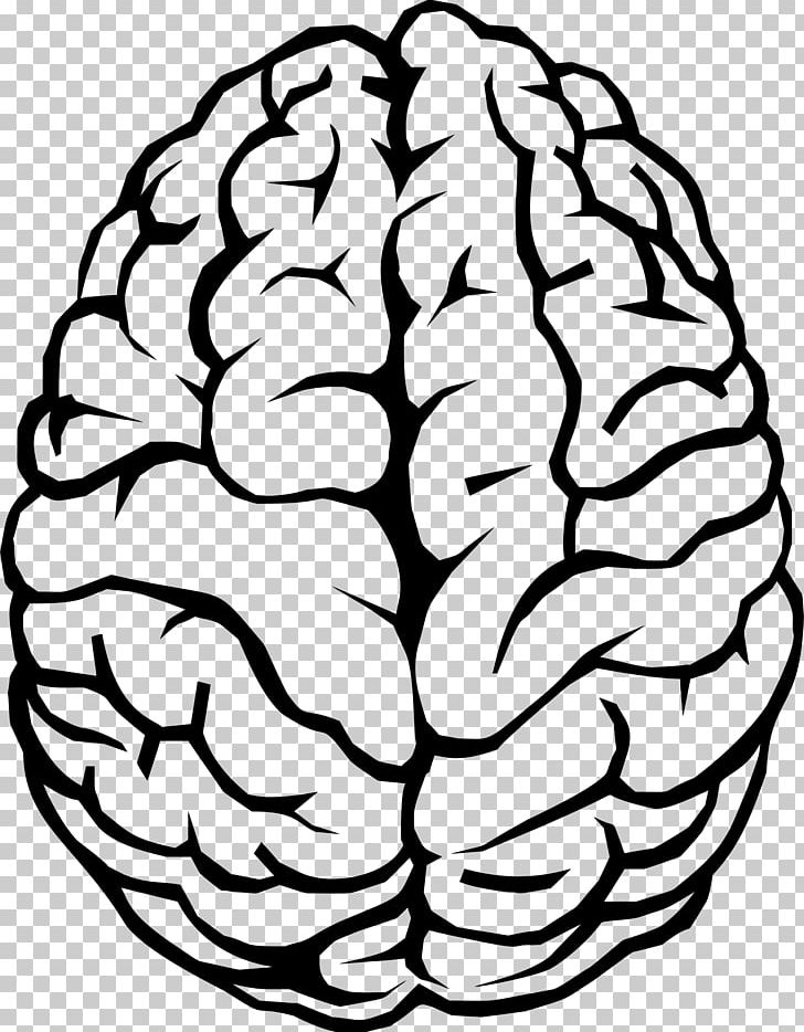 Human Brain Drawing PNG, Clipart, Art Illustration, Black And White, Brain, Circle, Computer Icons Free PNG Download