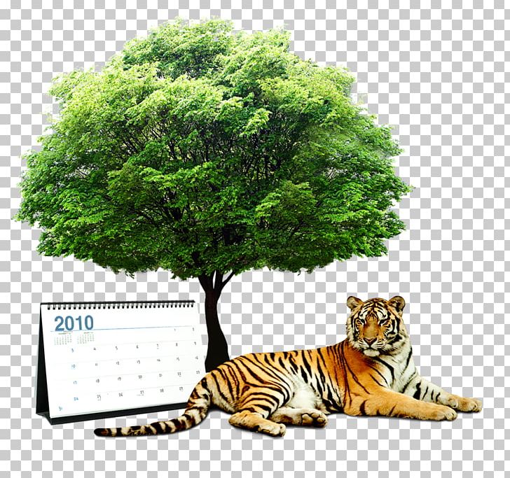 Spain Consumption Building PNG, Clipart, Big Cats, Building, Calendar, Carnivoran, Cat Like Mammal Free PNG Download