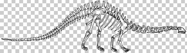 Velociraptor Tyrannosaurus Carnivora Line Art Sketch PNG, Clipart, Animal, Animal Figure, Apatosaurus, Artwork, Black And White Free PNG Download