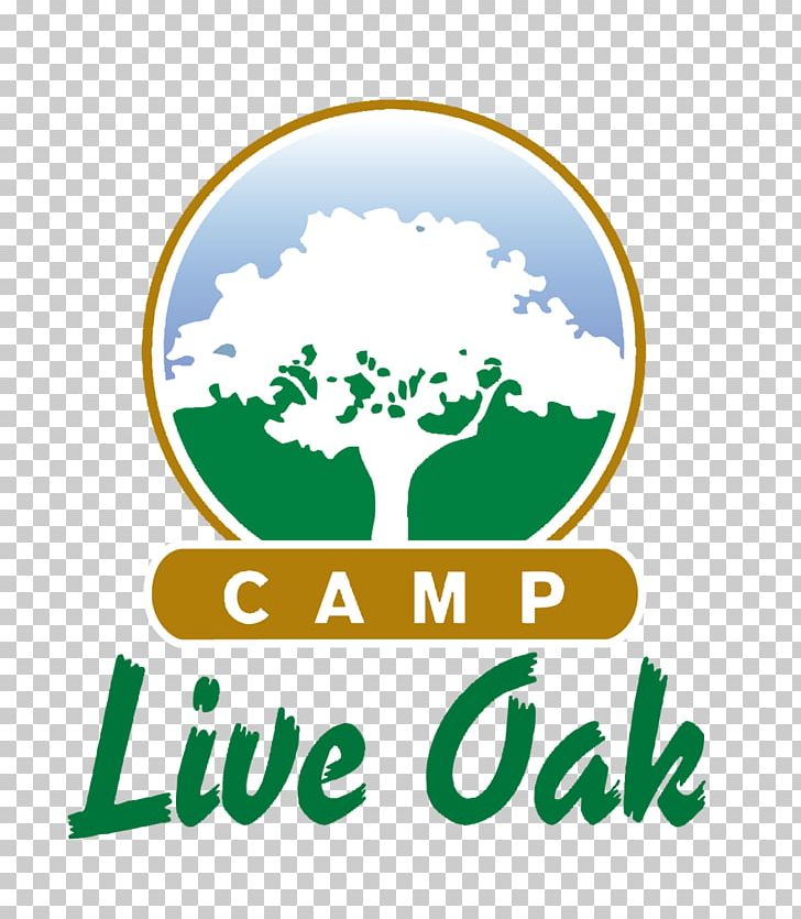Fort Lauderdale Camp Live Oak Summer Camp Day Camp PNG, Clipart, Area, Brand, Camping, Child, Colonie De Vacances Free PNG Download