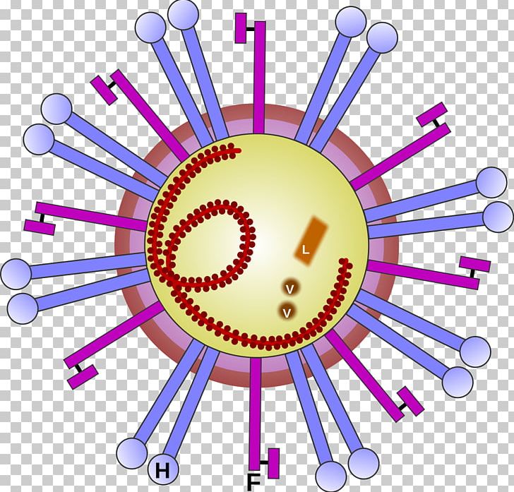 Morbillivirus Ovine Rinderpest RNA Virus Disease PNG, Clipart, Area, Circle, Disease, Graphic Design, Infection Free PNG Download