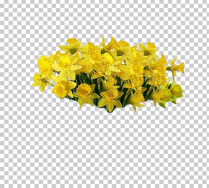 Yellow Cut Flowers Plant PNG, Clipart, Computer Icons, Cut Flowers, Flower, Flowering Plant, Ipe Free PNG Download