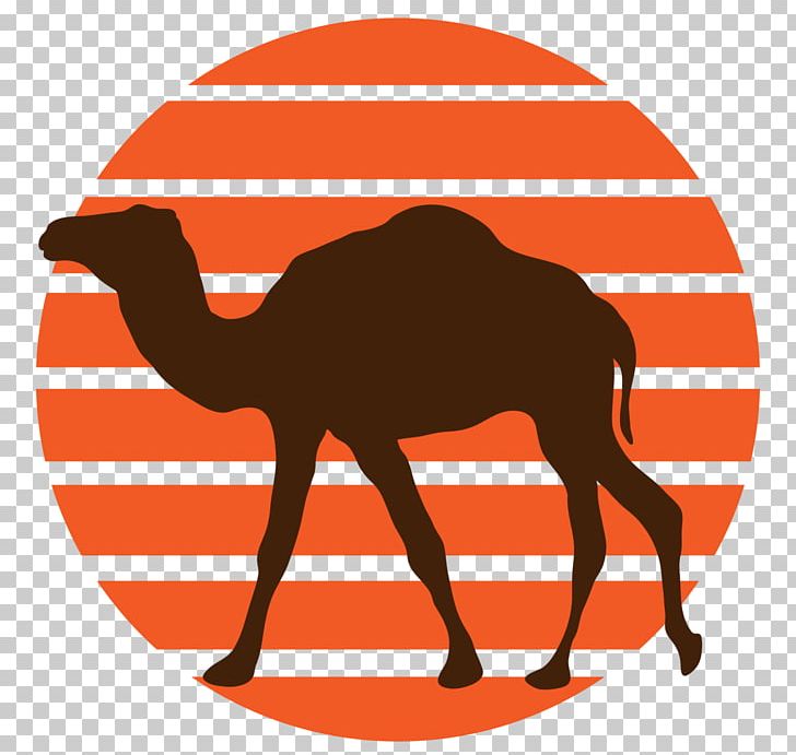 Appalachian National Scenic Trail Hiking PNG, Clipart, Advertising, Animals, Appalachian National Scenic Trail, Arabian Camel, Area Free PNG Download