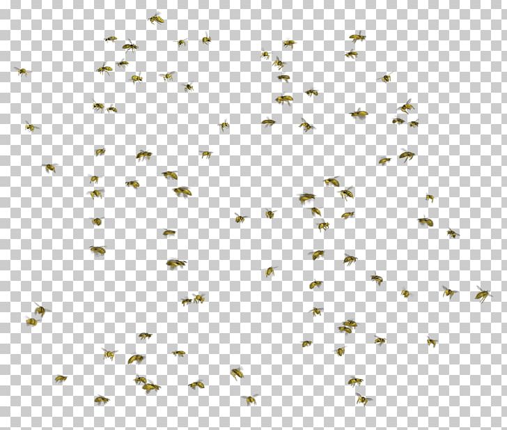 Bee Portable Network Graphics Computer Icons GIF PNG, Clipart, Angle, Area, Beak, Bee, Bird Free PNG Download