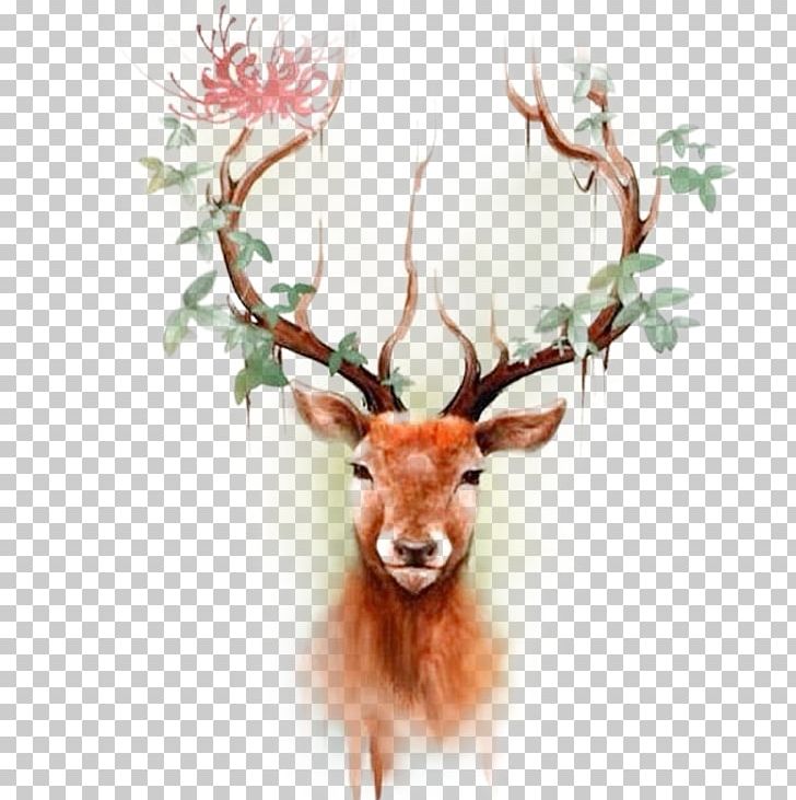 Deer Elk Moose Tattoo Paper PNG, Clipart, Antler, Arm, Beauty, Body Art, Cartoon Free PNG Download