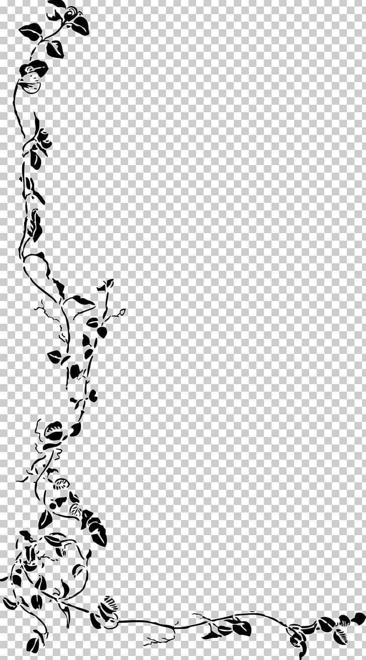 Ivy Vine Drawing PNG, Clipart, Area, Art, Artwork, Black, Black And White Free PNG Download
