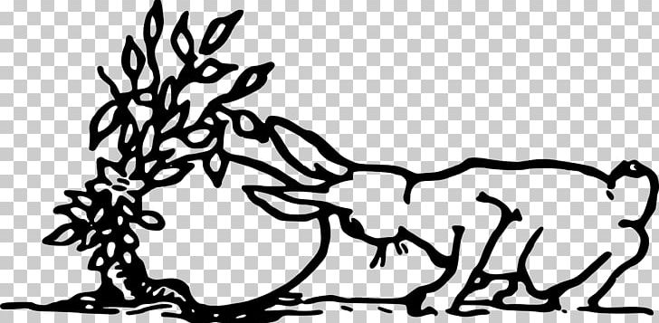 Line Art Drawing PNG, Clipart, Animals, Antler, Art, Artwork, Black Free PNG Download