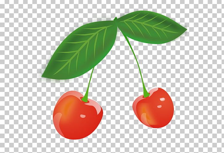 Sweet Cherry PNG, Clipart, Apple, Cartoon, Cherry, Cherry Blossom, Desktop Wallpaper Free PNG Download
