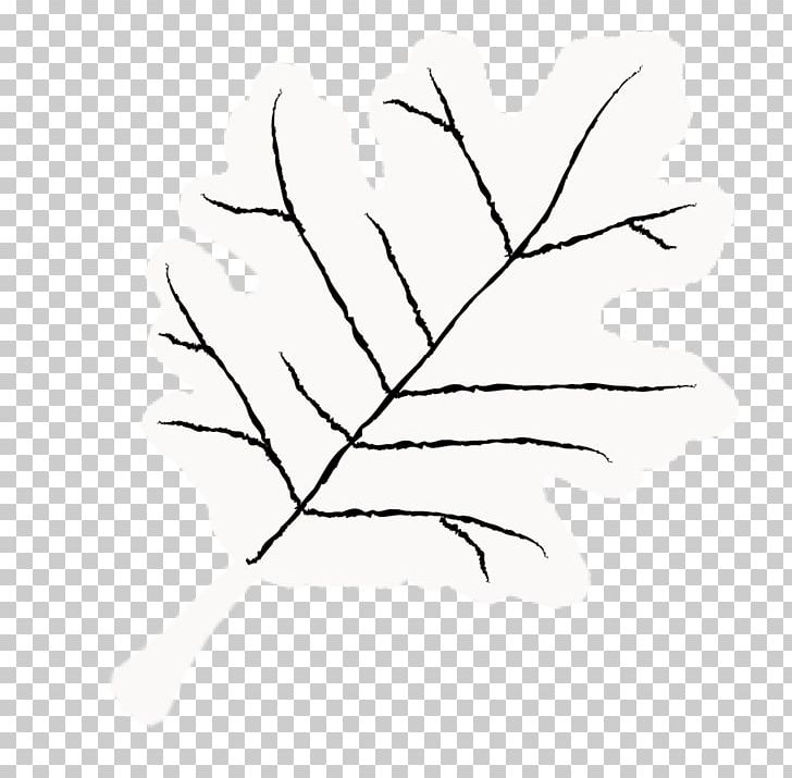 Twig Leaf Plant Stem Line Art Petal PNG, Clipart, Black And White, Branch, Drawing, Flower, Flowering Plant Free PNG Download