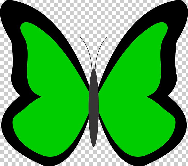Butterfly Brown PNG, Clipart, Black And White, Blog, Blue Green, Brown, Brush Footed Butterfly Free PNG Download