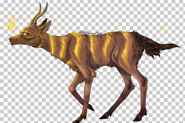 Cattle Antelope Elk Goat Wildlife PNG, Clipart, Animal, Animals, Antelope, Antler, Cattle Free PNG Download