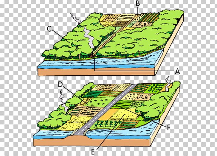 Water Resources Grasses Ecoregion Plant Community Recreation PNG, Clipart, Area, Boat, Community, Diagram, Ecoregion Free PNG Download