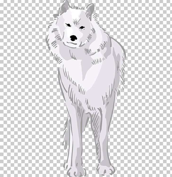 Whiskers Line Art Cat Drawing /m/02csf PNG, Clipart, Animals, Arctic, Arctic Wolf, Artwork, Bear Free PNG Download