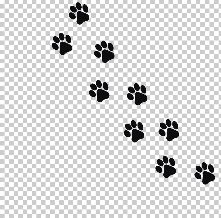 Cat Footprint Animal Track PNG, Clipart, Animal, Animals, Animal Track, Black, Black And White Free PNG Download