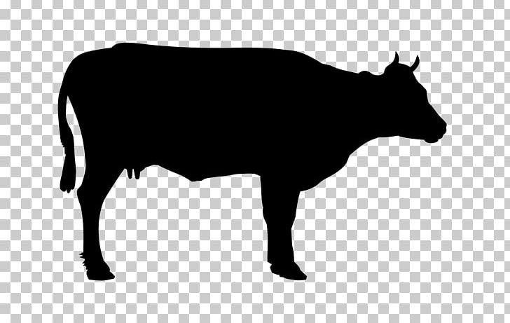 Holstein Friesian Cattle Angus Cattle Welsh Black Cattle Hereford Cattle Beef Cattle PNG, Clipart, Black, Black And White, Bull, Cattle, Cattle Like Mammal Free PNG Download