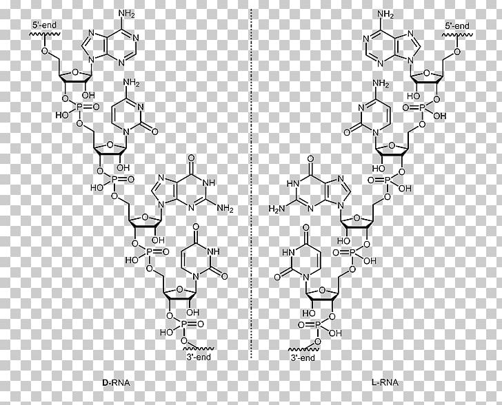 Oligonucleotide DNA And RNA Nucleic Acid PNG, Clipart, Acid, Angle, Aptamer, Are, Area Free PNG Download